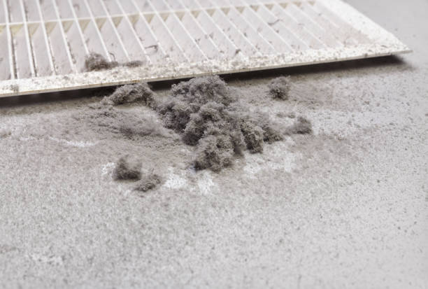 Best Air Duct Cleaning Near Me  in Lake Sconsin, WI