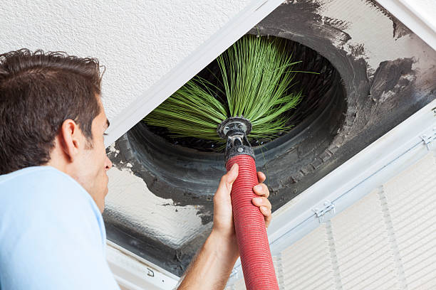 Best Air Duct Sanitizing Services  in Lake Sconsin, WI