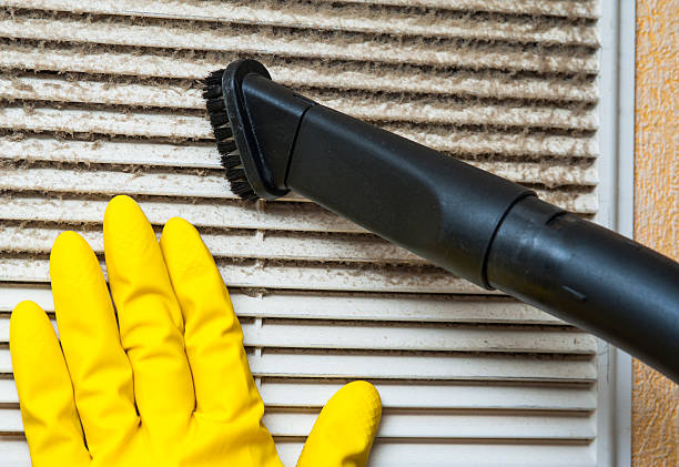 Best Professional Duct Cleaning Services  in Lake Sconsin, WI